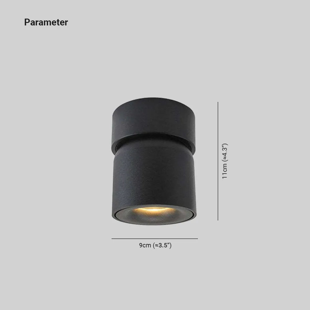 Plafonieră LED Modernă Aplicată Lurix, Negru/Alb