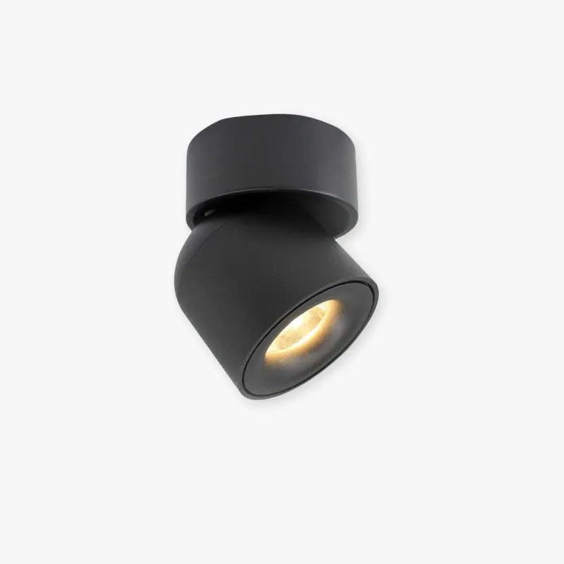 Plafonieră LED Modernă Aplicată Lurix, Negru/Alb