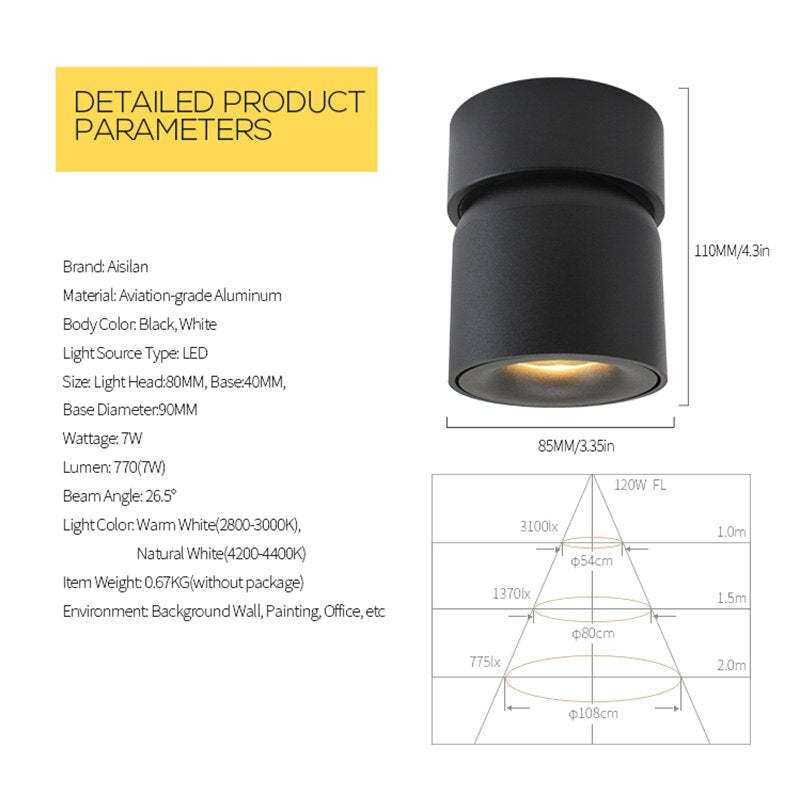Plafonieră LED Modernă Aplicată Lurix, Negru/Alb